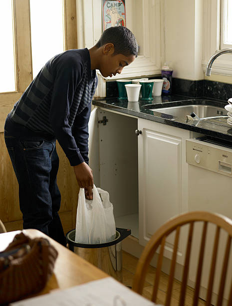 Best Trash Removal Near Me  in Rockford, MI